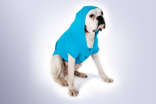 Blue Dog Hoodie - Dog Hoodie - Gym+Coffee IE